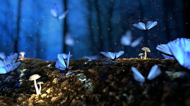 Enchanting Trees